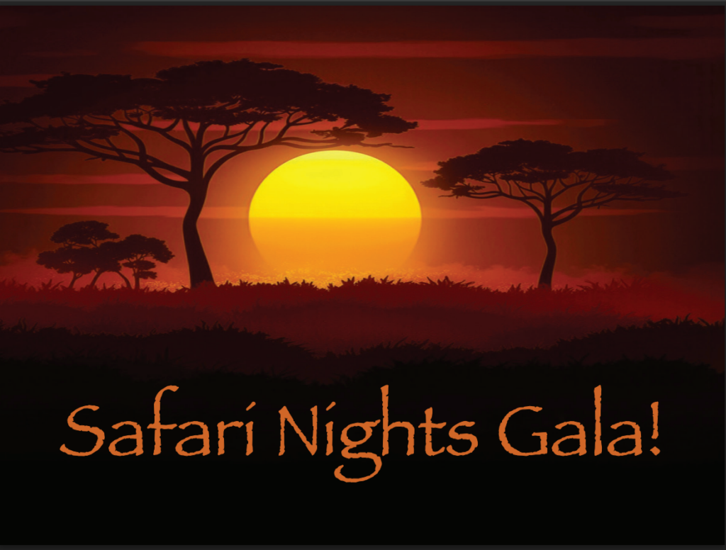REACH for Uganda's Safari Nights